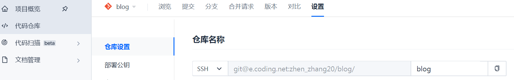 coding_repository_setting