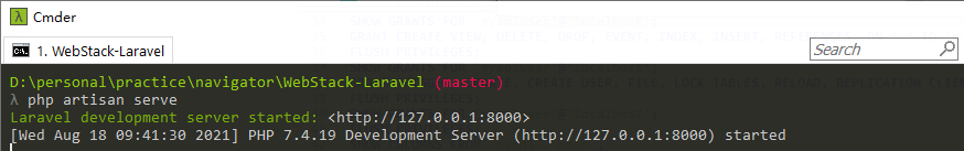 start_local_server